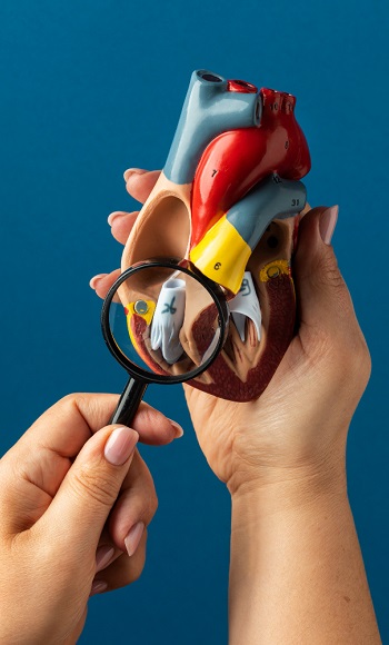 top heart doctor in Kolkata